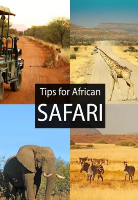 Safari Chronicles: Unveiling Africa's Wildlife Sanctuaries.